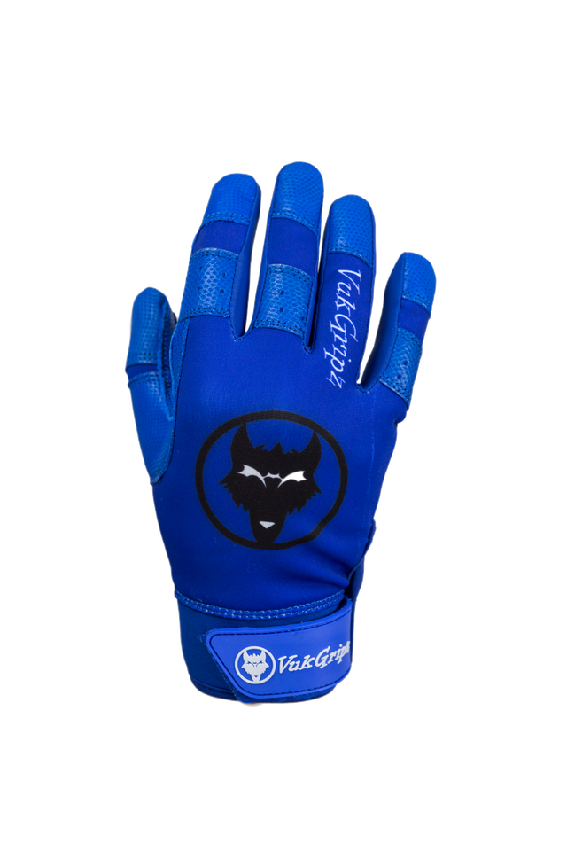 Howler Blue Batting Gloves back