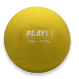 Individual Weighted Plyo Balls
